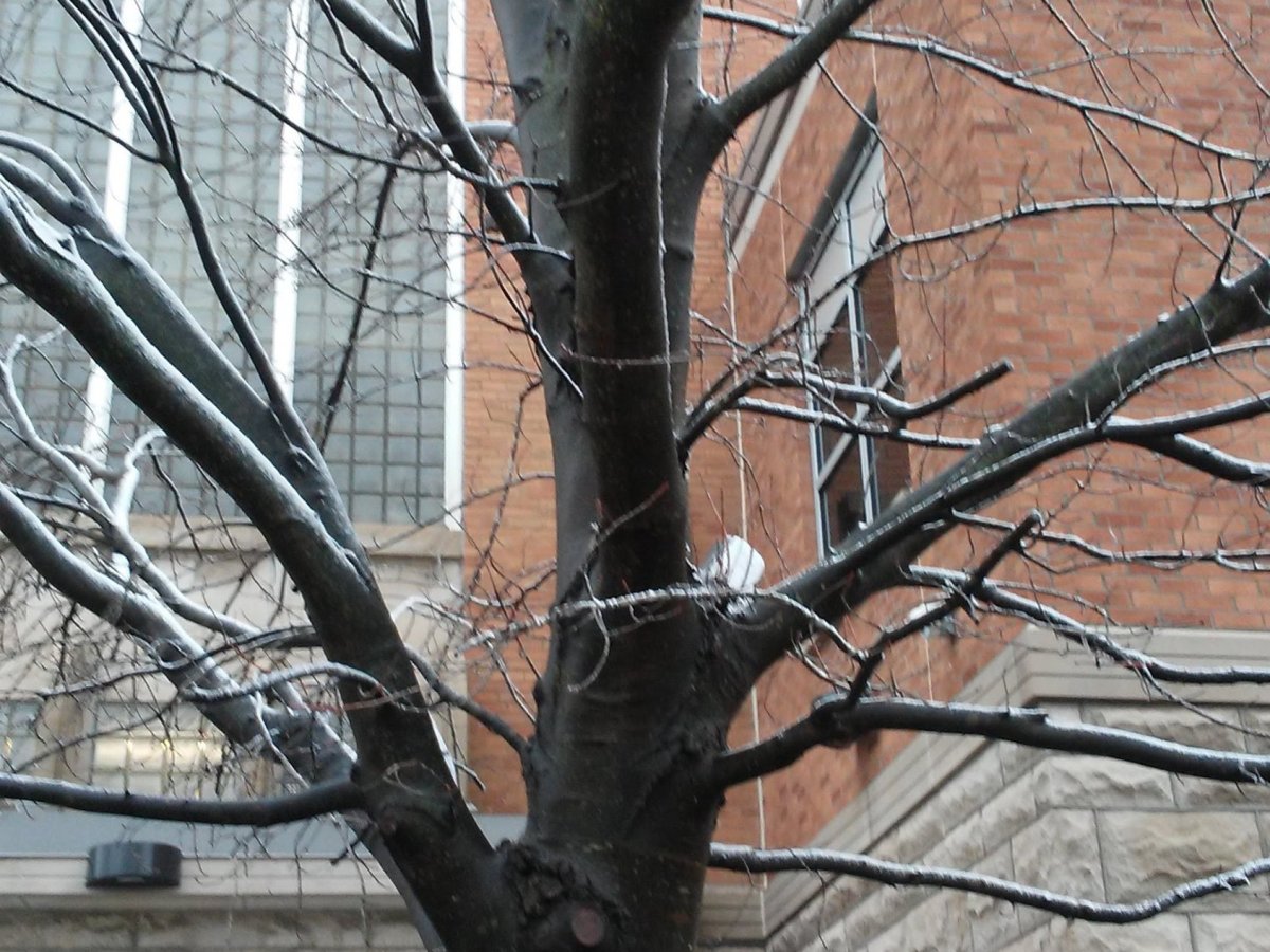 Someone is Watching&nbsp;You