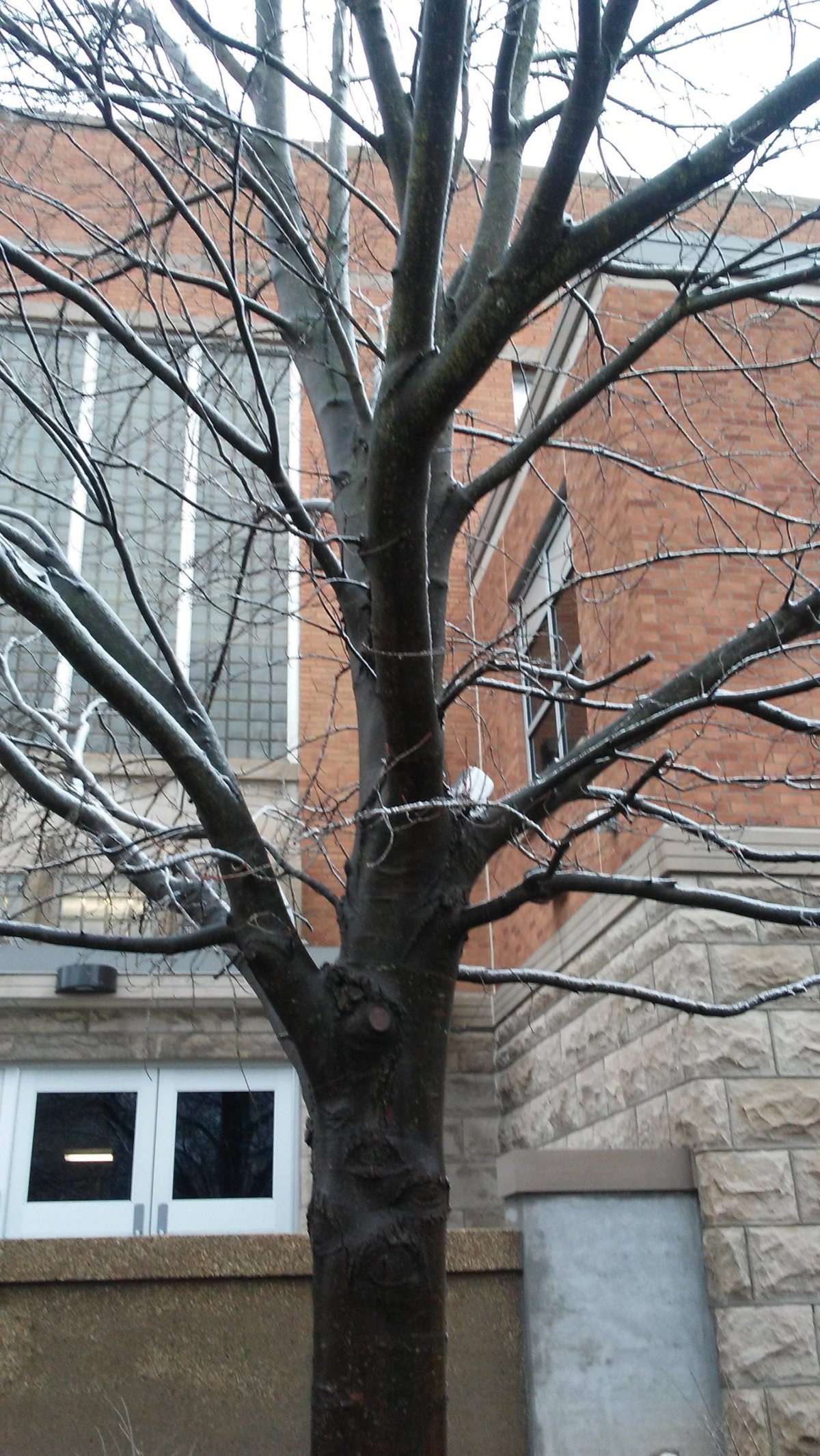 Someone is Watching&nbsp;You